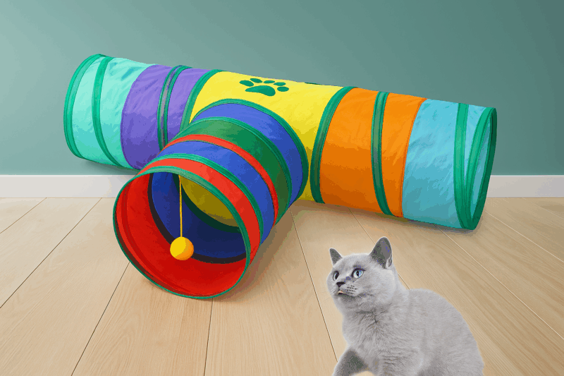 Tunnel de jeu pour chat en tissu coloré avec trois entrées. Une balle jaune suspendue à l’une des ouvertures. Un chat gris curieux regarde le tunnel, prêt à jouer.